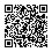 qrcode:https://www.artisanat-madagascar.fr/91