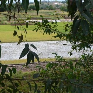 P1050822
