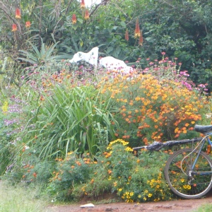 P1050791