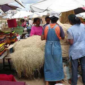 Selling raffia fibres on the Coum market  - Sale of fibres on the market
